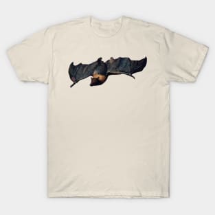 Bat T-Shirt